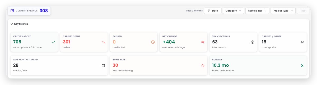 Scanifly Credit Analytics: balance and key metrics