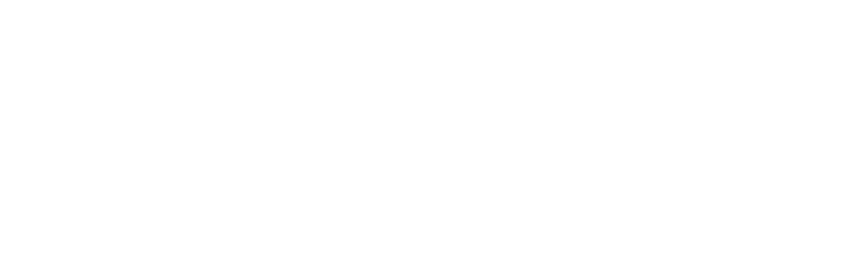 Scanifly